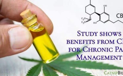 Managing Chronic Pain With CBD: Three Essential Tips