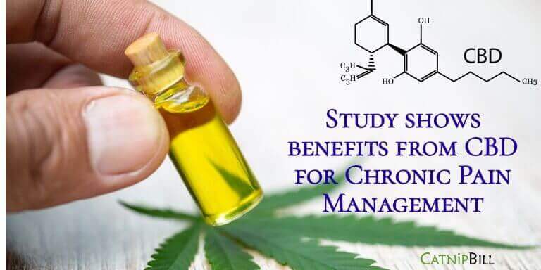 Managing Chronic Pain With CBD: Three Essential Tips