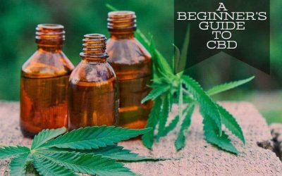 Beginner’s Guide to CBD: How Much Should I Take?