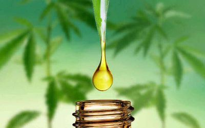 CBD Hemp Oil: Finding The Best Quality.