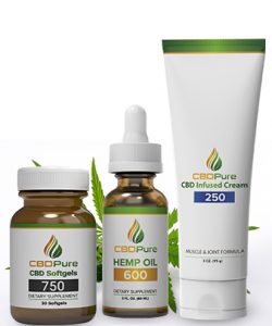 Buy CBD Pure