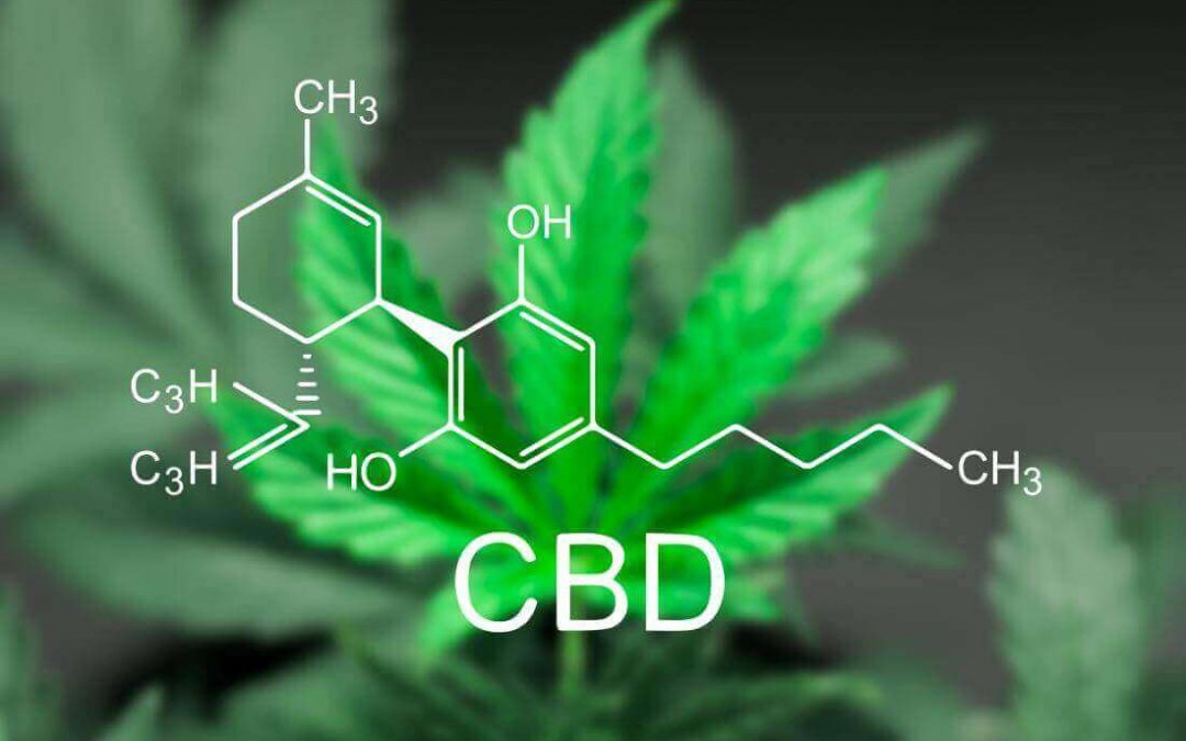 How is Cannabidiol Different from Marijuana?