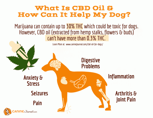 CBD oil products