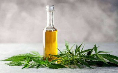 What Is Hemp Oil and How is it Used?