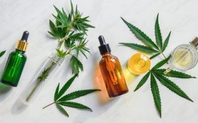 CBD Oil and the Entourage Effect