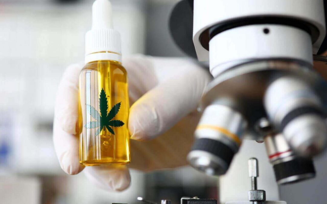 High-Quality CBD Oil. How to Distinguish Scams