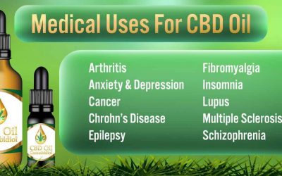 CBD oil For Pain: You Don’t Have to Suffer Needlessly.