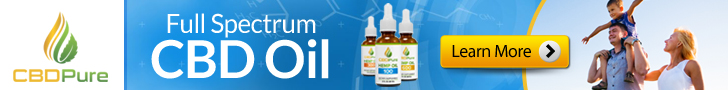 CBD Interacts with the Body’s Endocannabinoid 