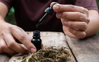 CBD Oil and Cancer Things to Know