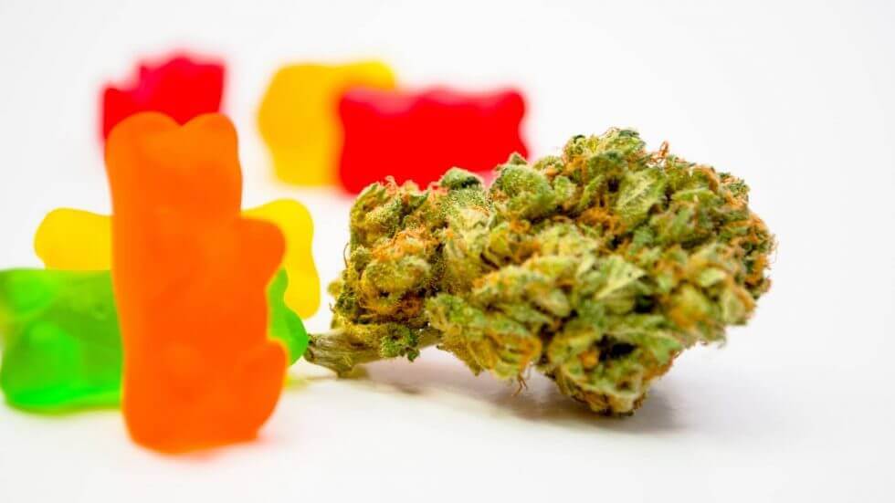 CBD Gummies are Vegan Edibles That You Should Try