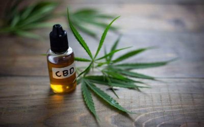 CBD for Boosting Your Immune System