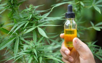 CBD Oil For Pain Management