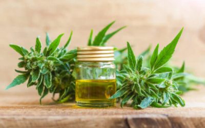 Five Natural Hemp Oil Benefits