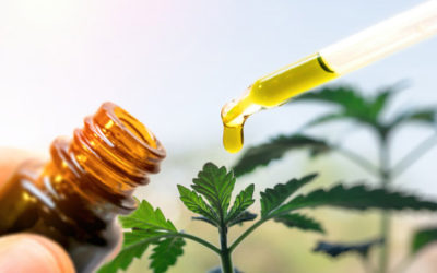 CBD Oil for Inflammation, Immune System Imbalance, Leaky Gut Syndrome and Fibromyalgia